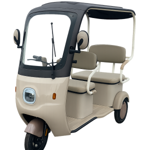 Elektrinis triratis dvivietis motoroleris P6 13 1000W